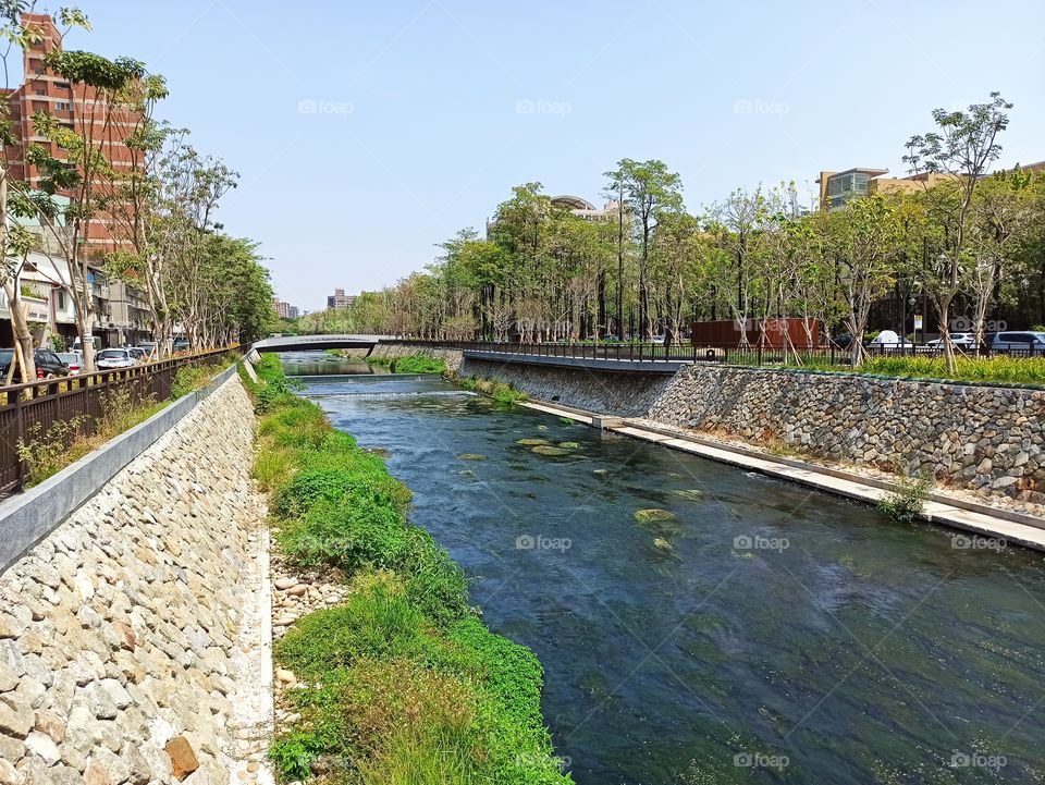 The riverbank in the university.