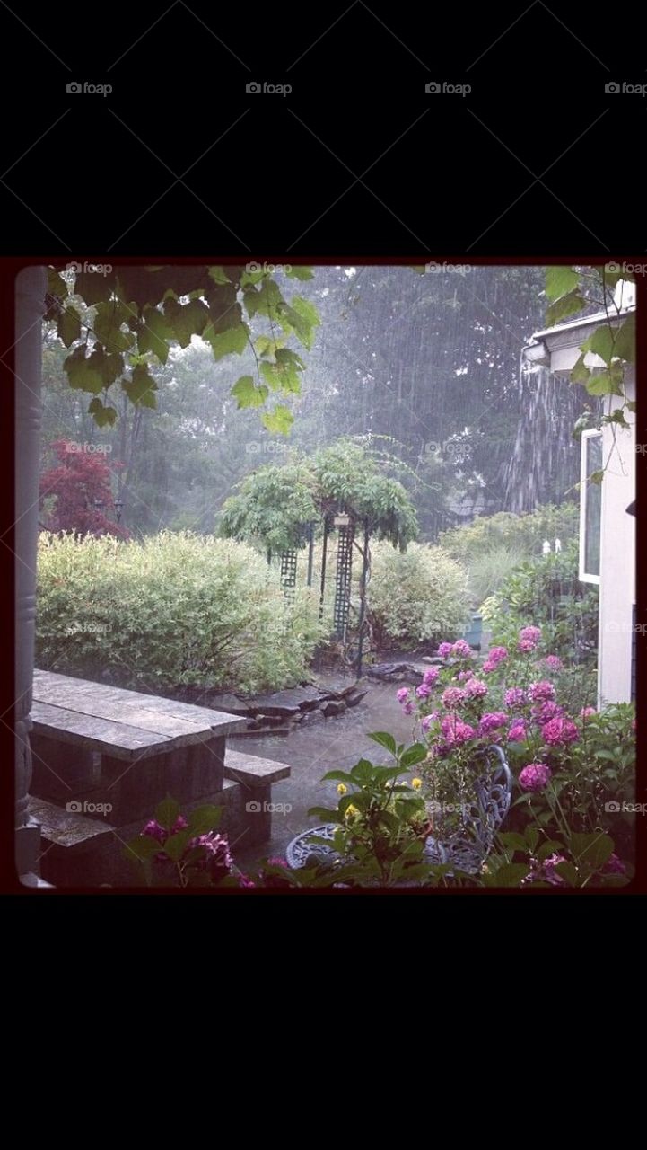 Rain Shower Backyard