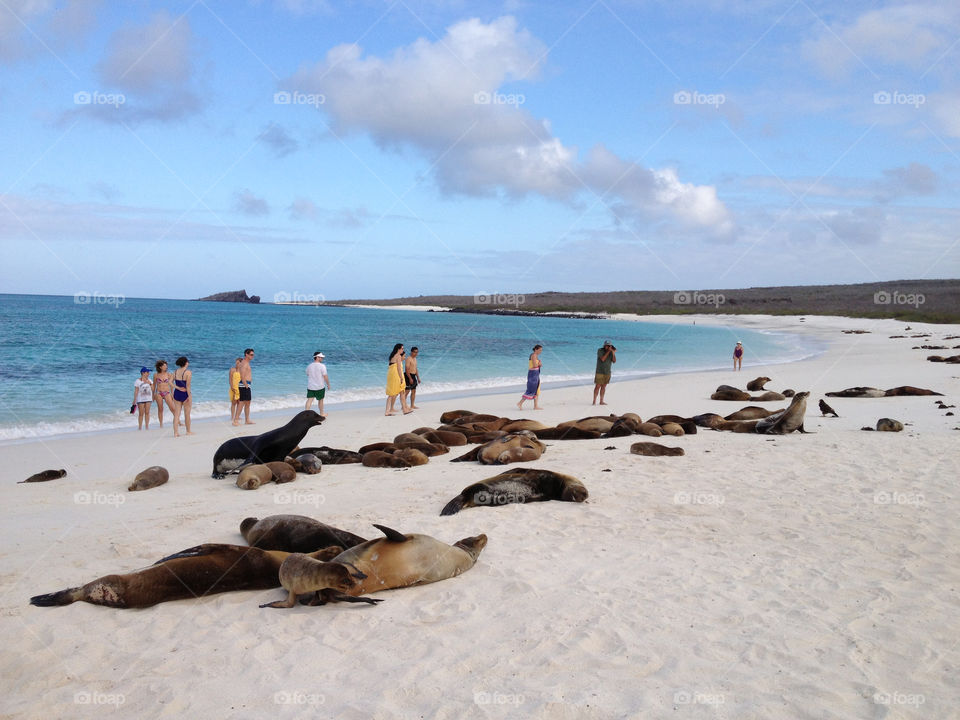 Beach on Espaniola, Galapagos