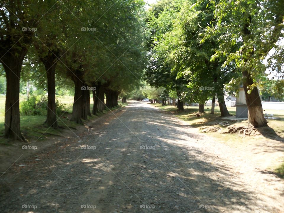 country road