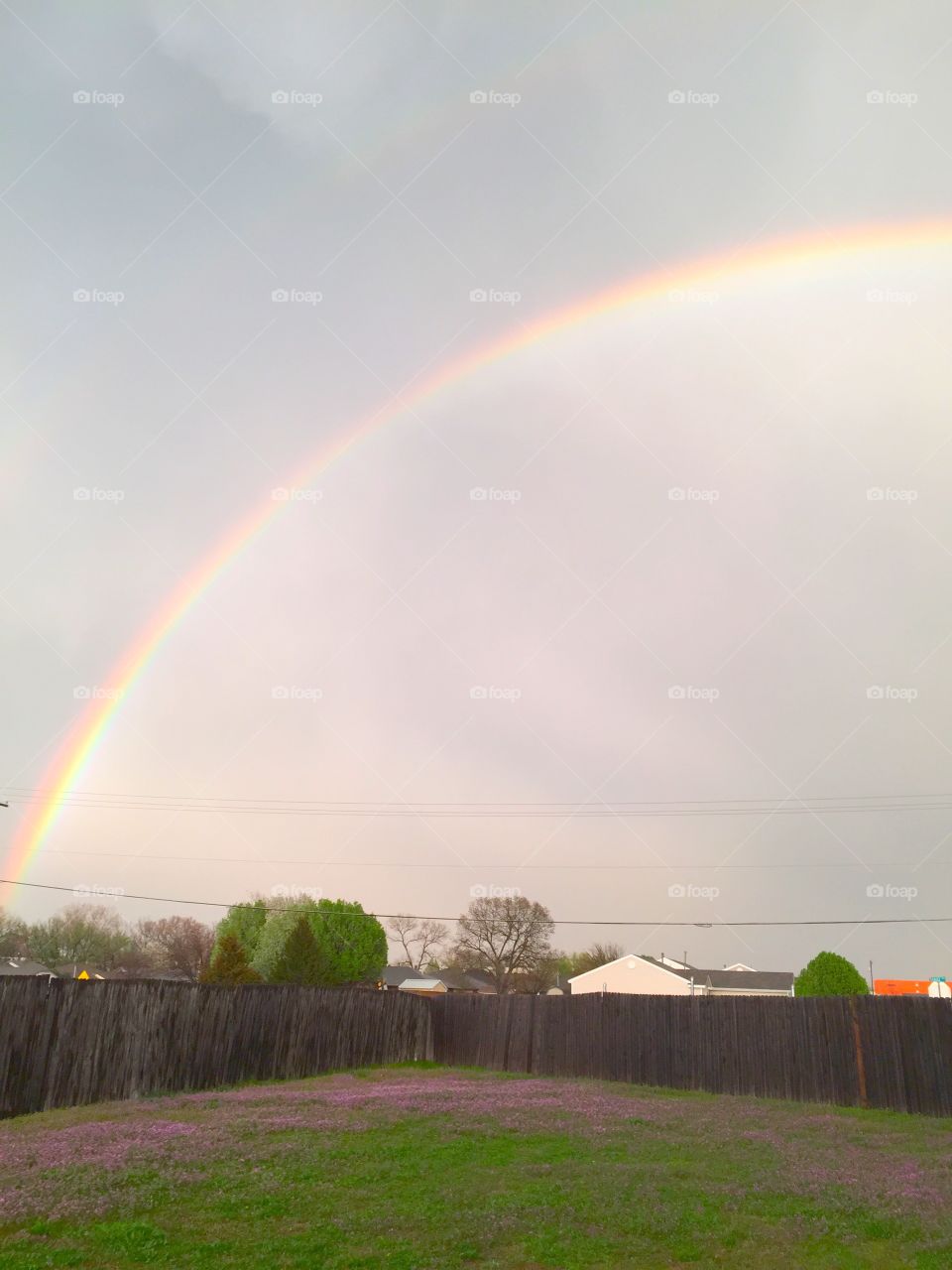 Rainbow in the Sky. Rainbow in my backyard sky after a rainy day