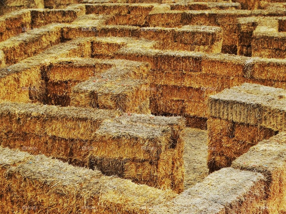 Halloween Haystack Maze
