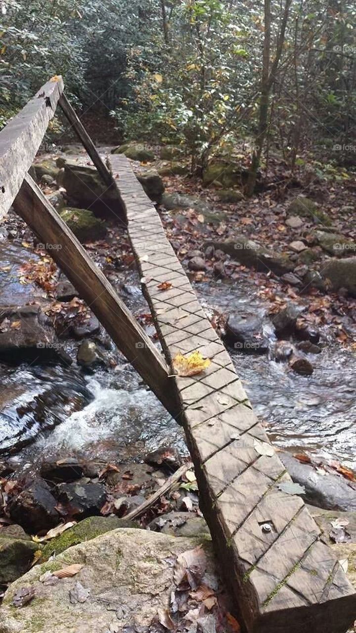 Narrow Wooden Plank Bridge