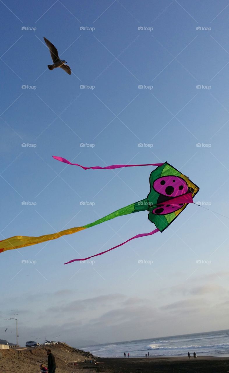 Kites