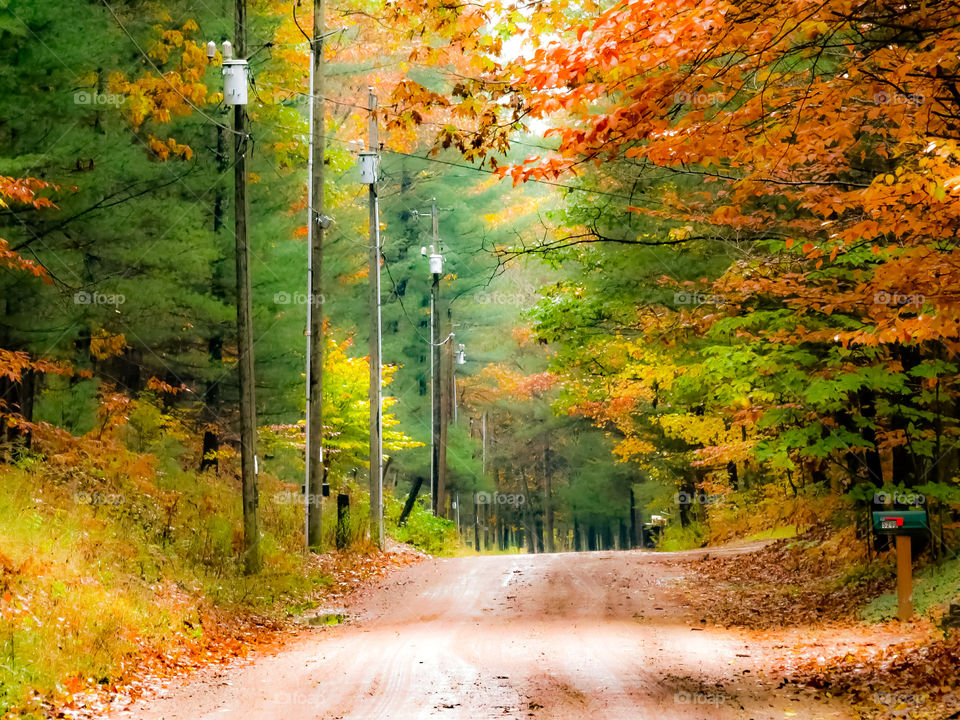 Walking on a back road