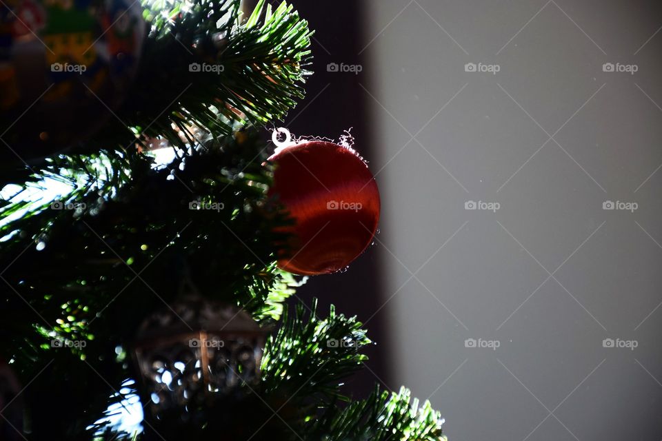 Red Christmas sphere on the christmas tree