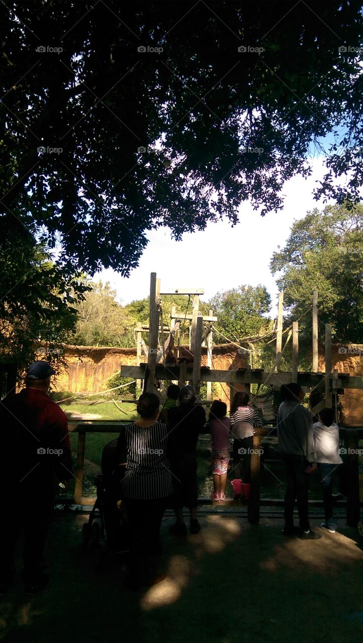 People, Outdoors, No Person, Group, Travel