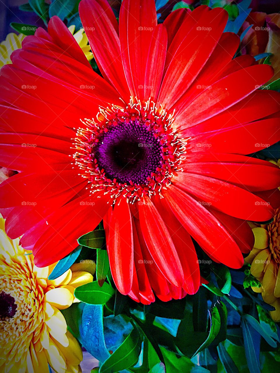 Captured with iPhone 6s Plus 