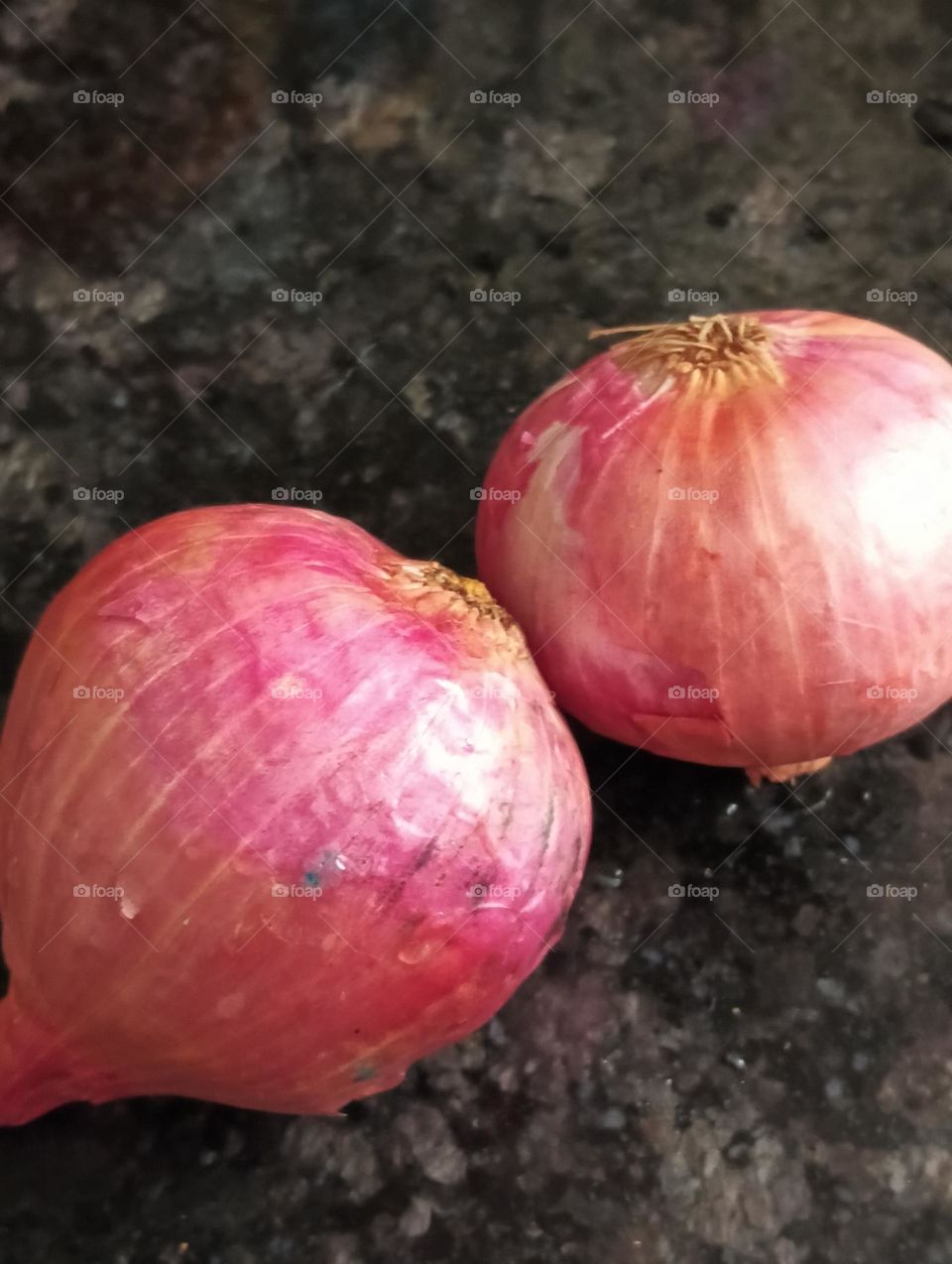 Onion