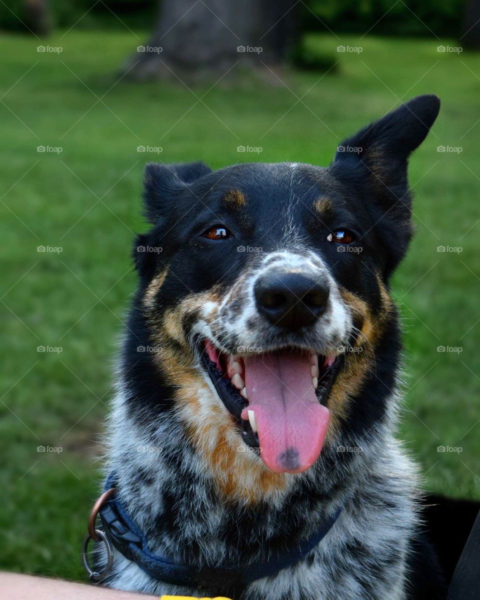 The Shine in a Beggers Eye 