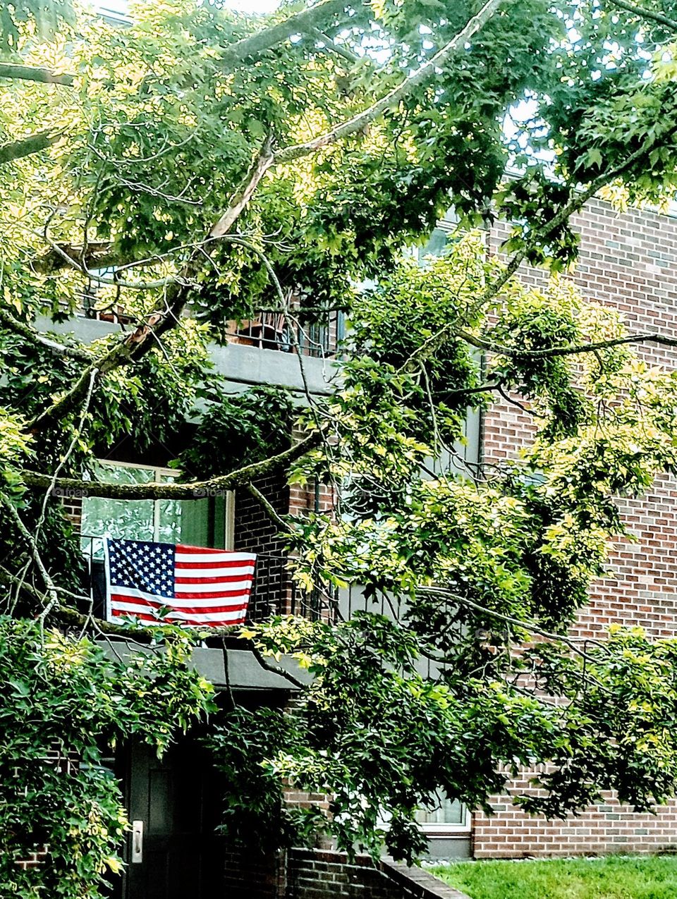 Porch Flag