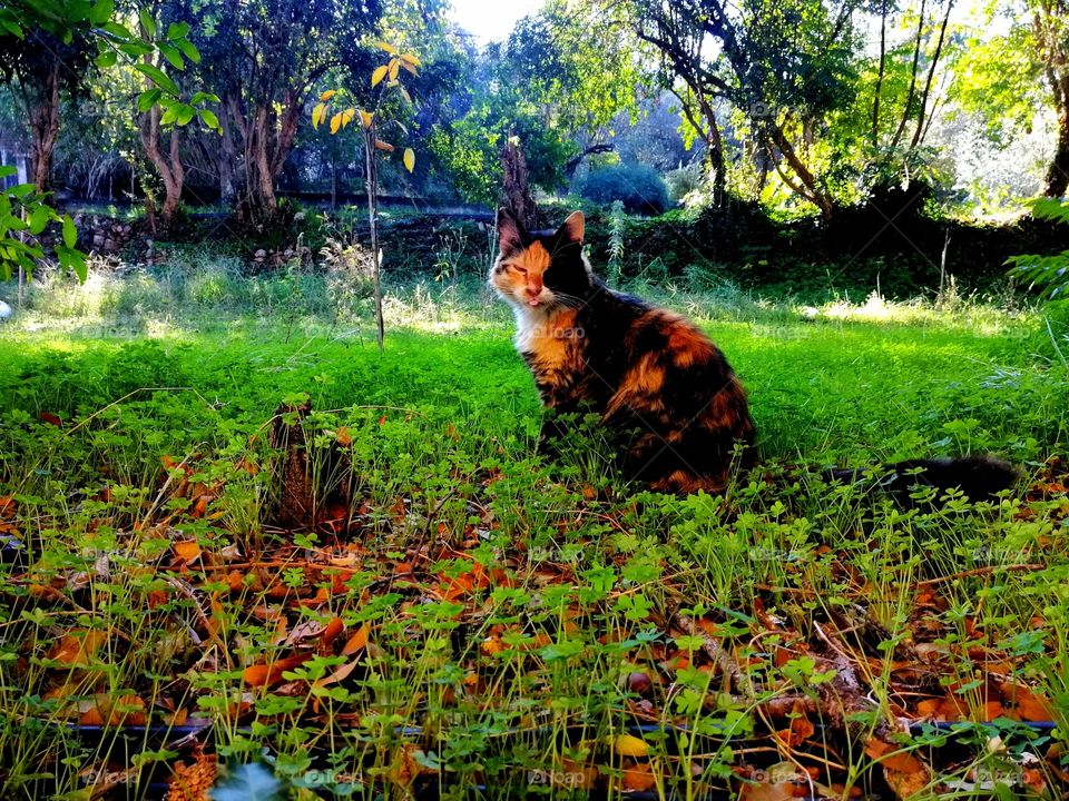 Hello
Please like my pictures and follow me
Thank you