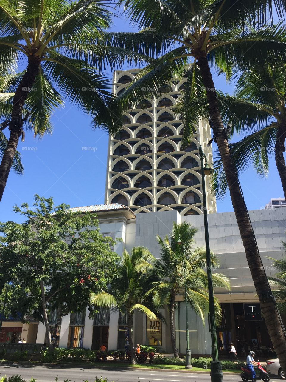 Hotel, Palm, Architecture, Tree, Travel