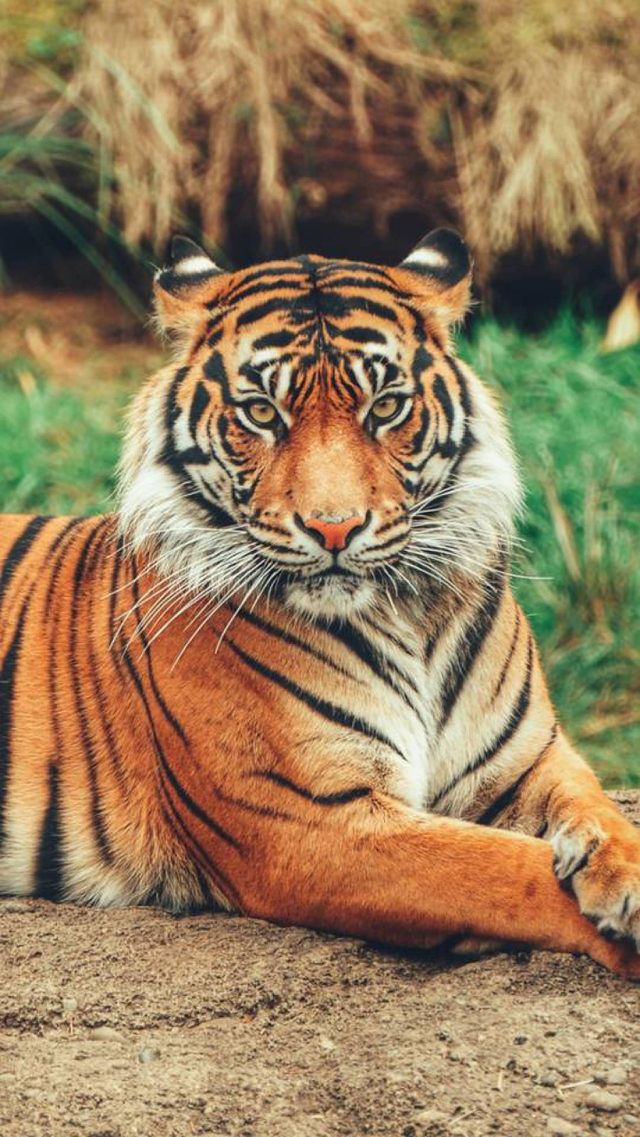 This Photo Is Wallpapers Not A Click Camera And Mobile