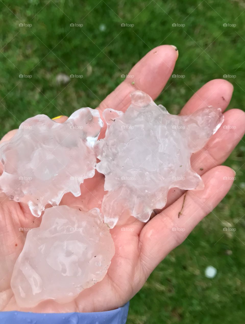  Very large hail stones from a summer rain storm