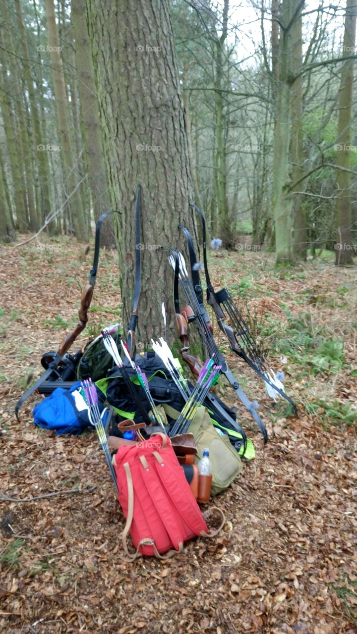 Bows by tree, waiting for archery competition