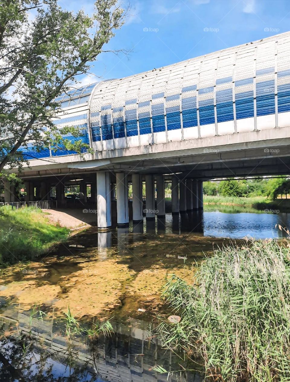 Modern Pedestrian Bridge Over Water