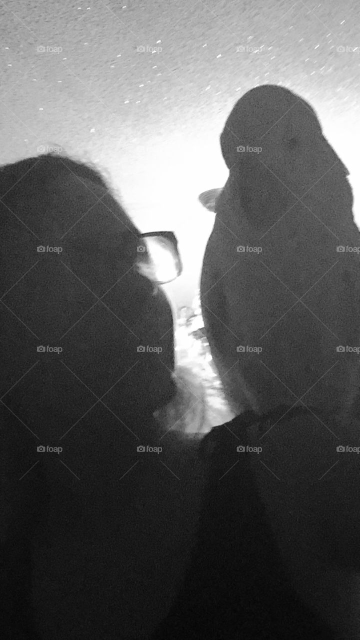 People, Monochrome, Adult, Portrait, Man