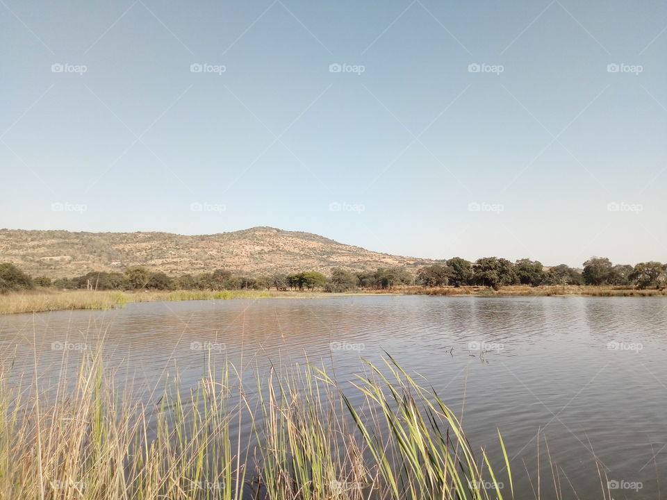 Mansarovar Dam image Aaj