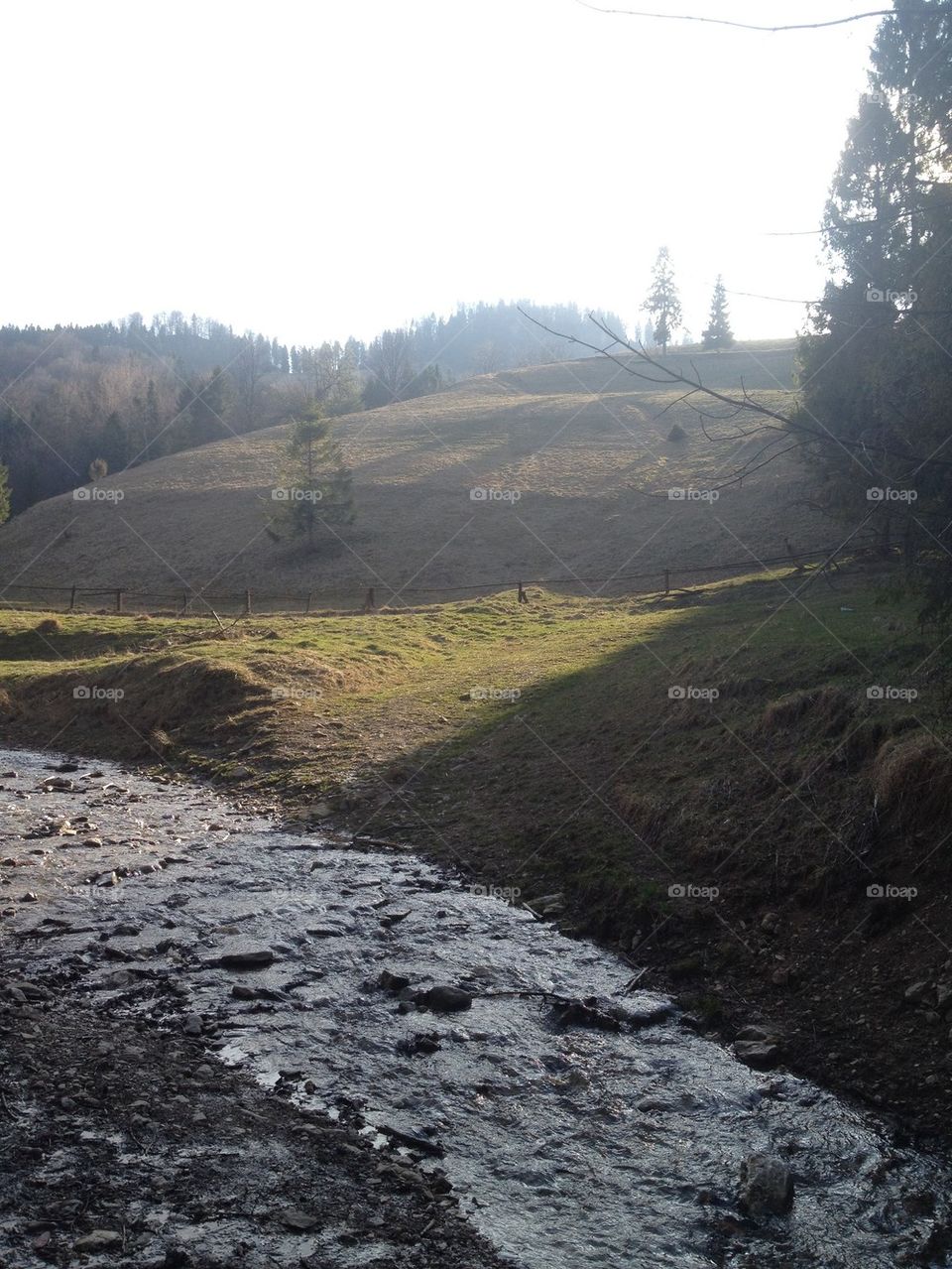 Stream in the mountains