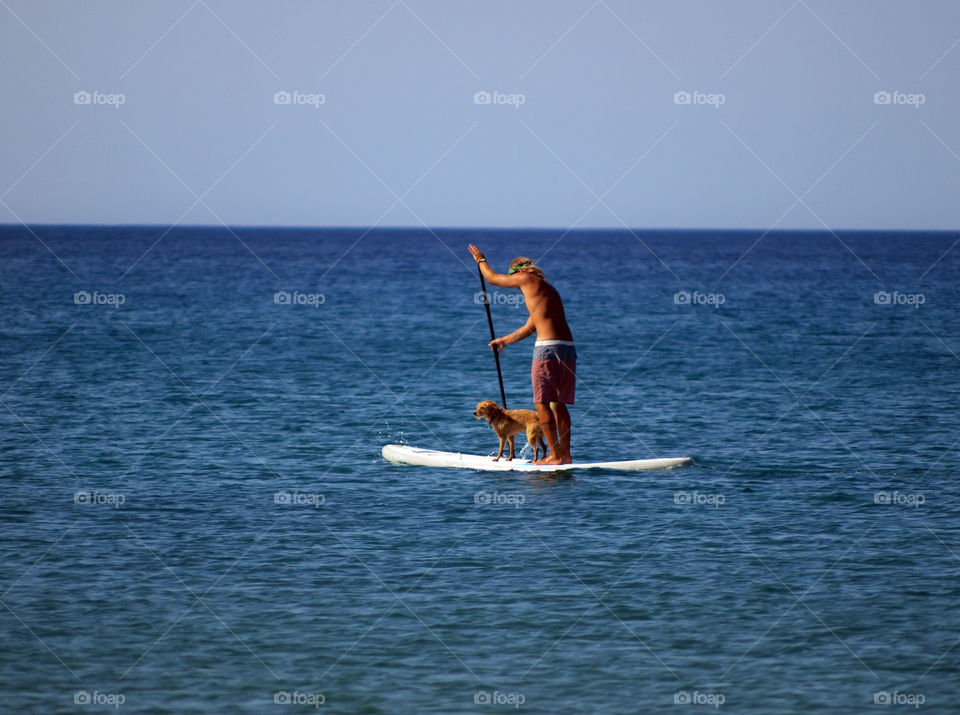A man and dog on paddleboard
