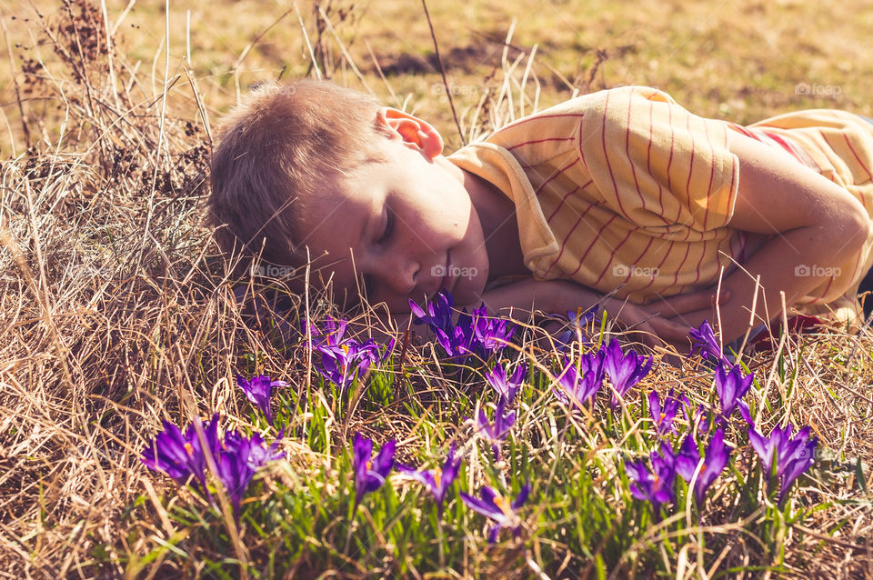 Son enjoying crocuses in bloom