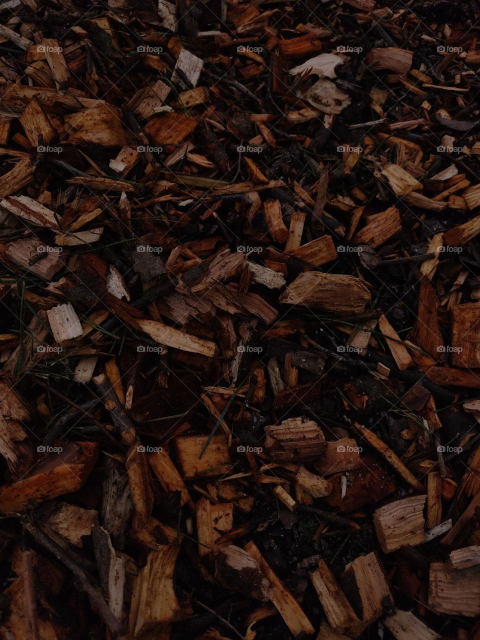 beautiful wood chips , the smell is amazing