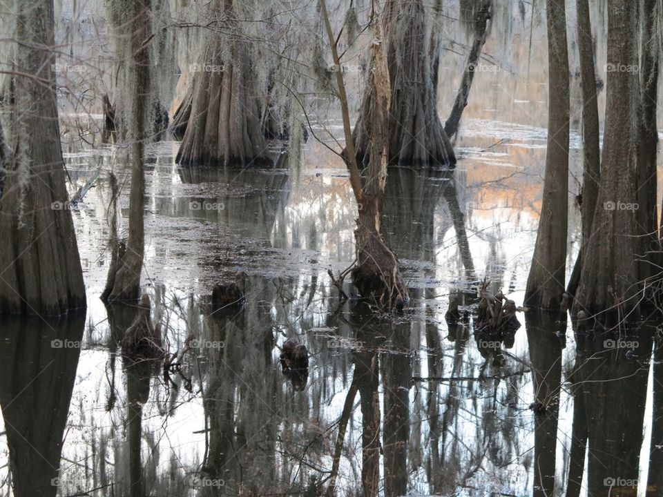 Uncertain. Kayaking Caddo
