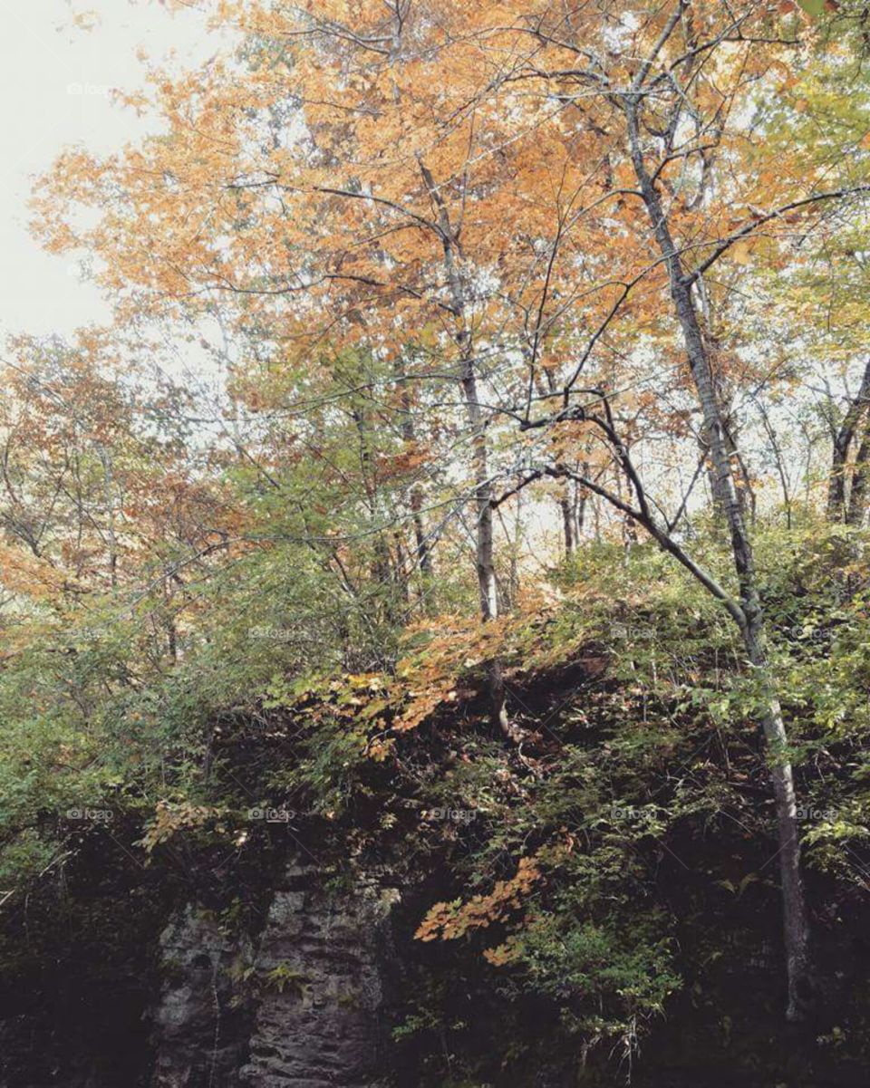 Autumn cliff