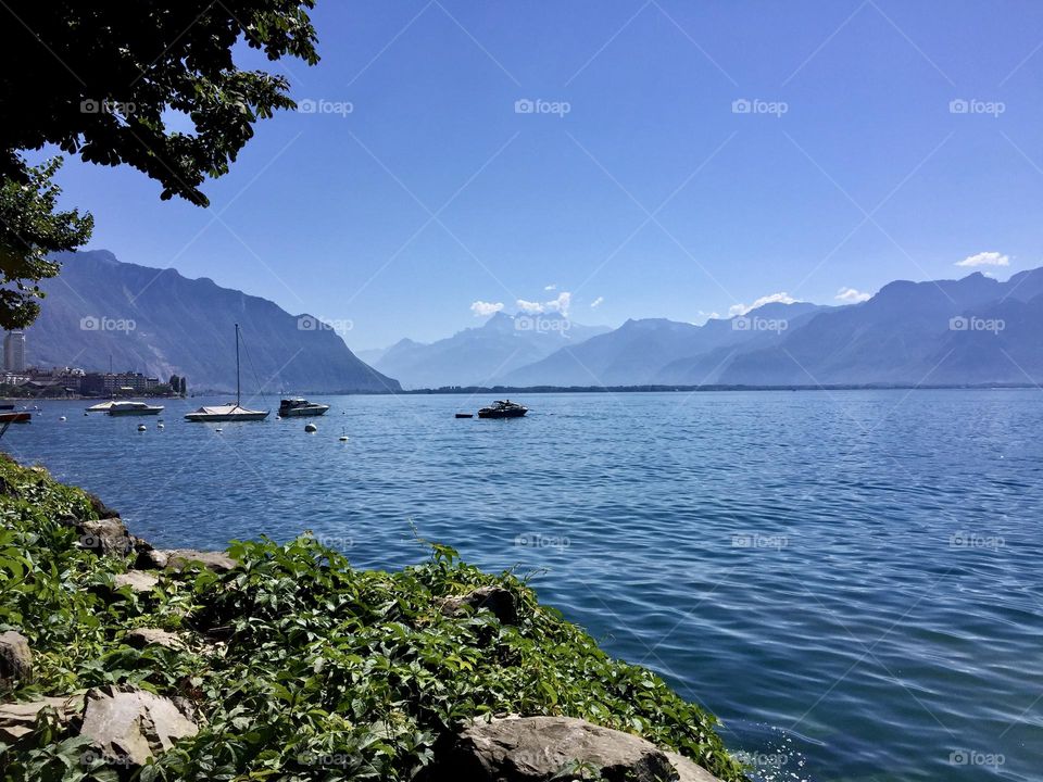 View of the beautiful clear water of lake Lucerne in summer