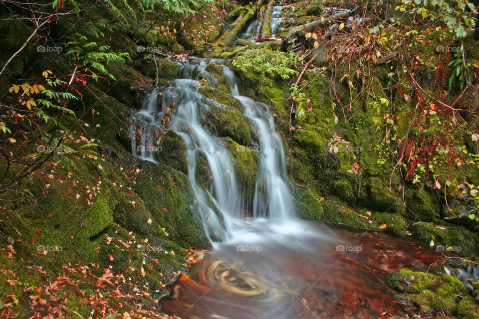 Fall Creek