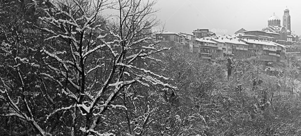 Winter panorama
