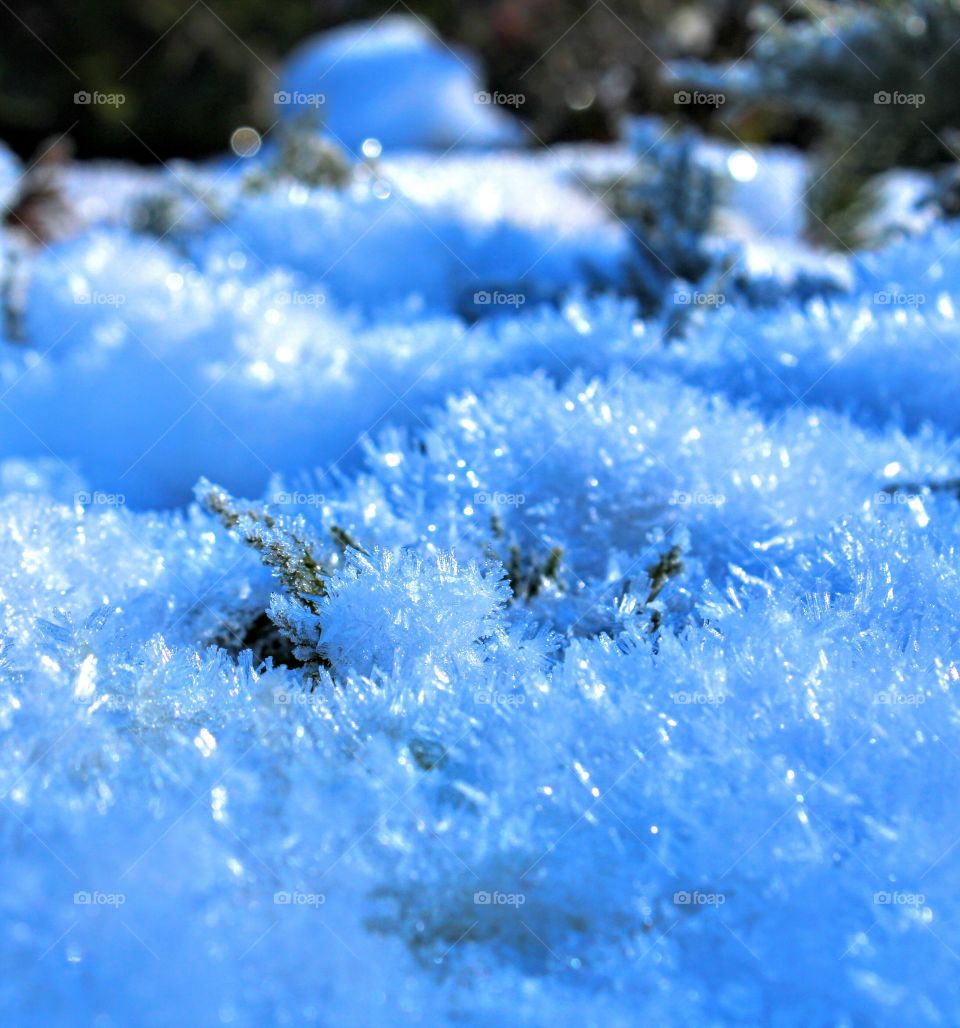 snow crystals