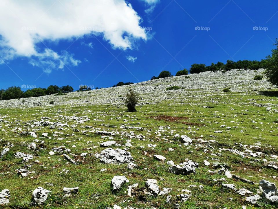 New windows wallpaper