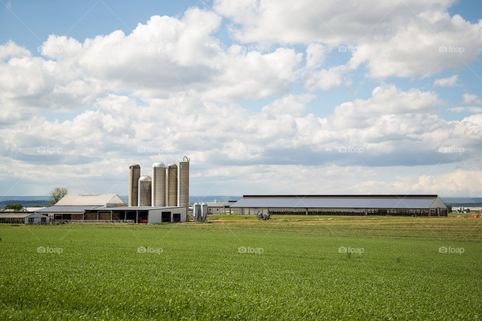 Farm Landscape