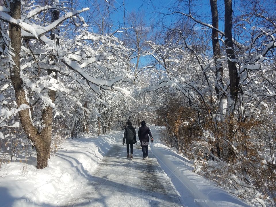 walking in the snow