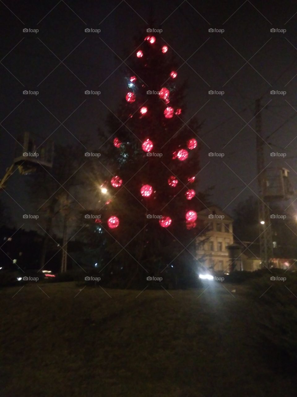 Christmas Tree in Riga City