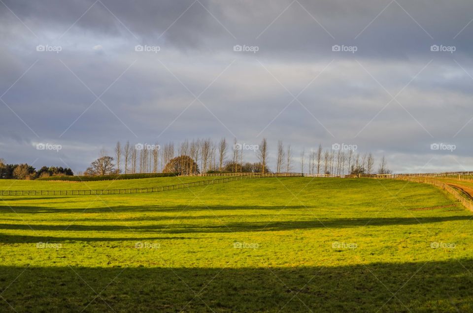 Landscape. Farm