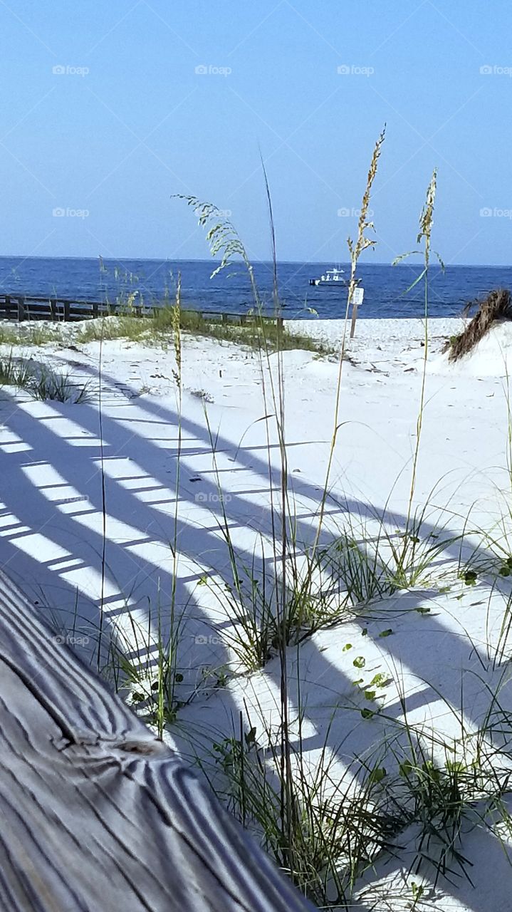 Boardwalk view