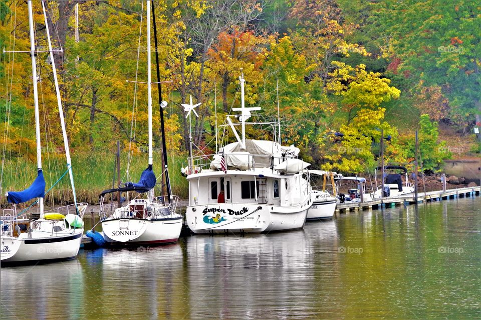 Boats Anchored Along The River Bank 