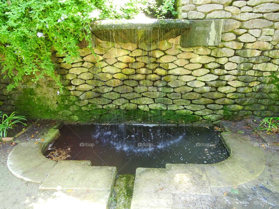 The fountain