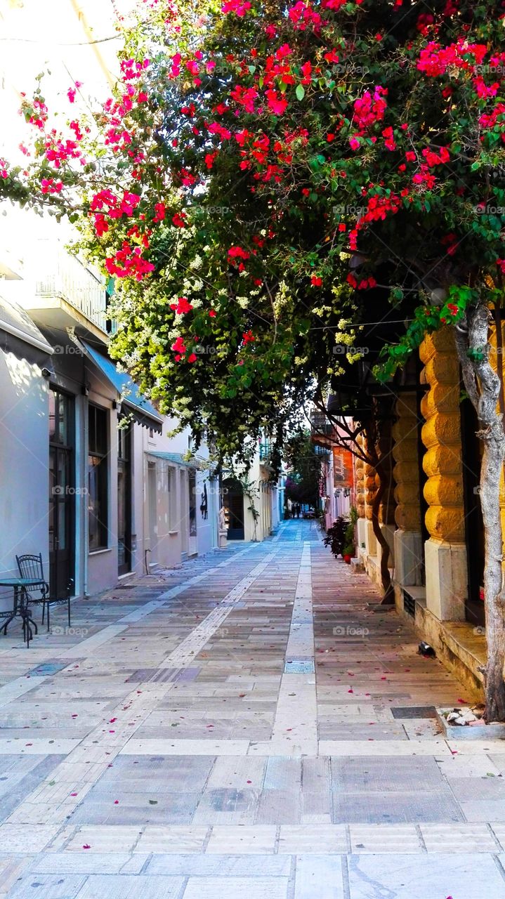 Spring blossom 🌸🌺💜