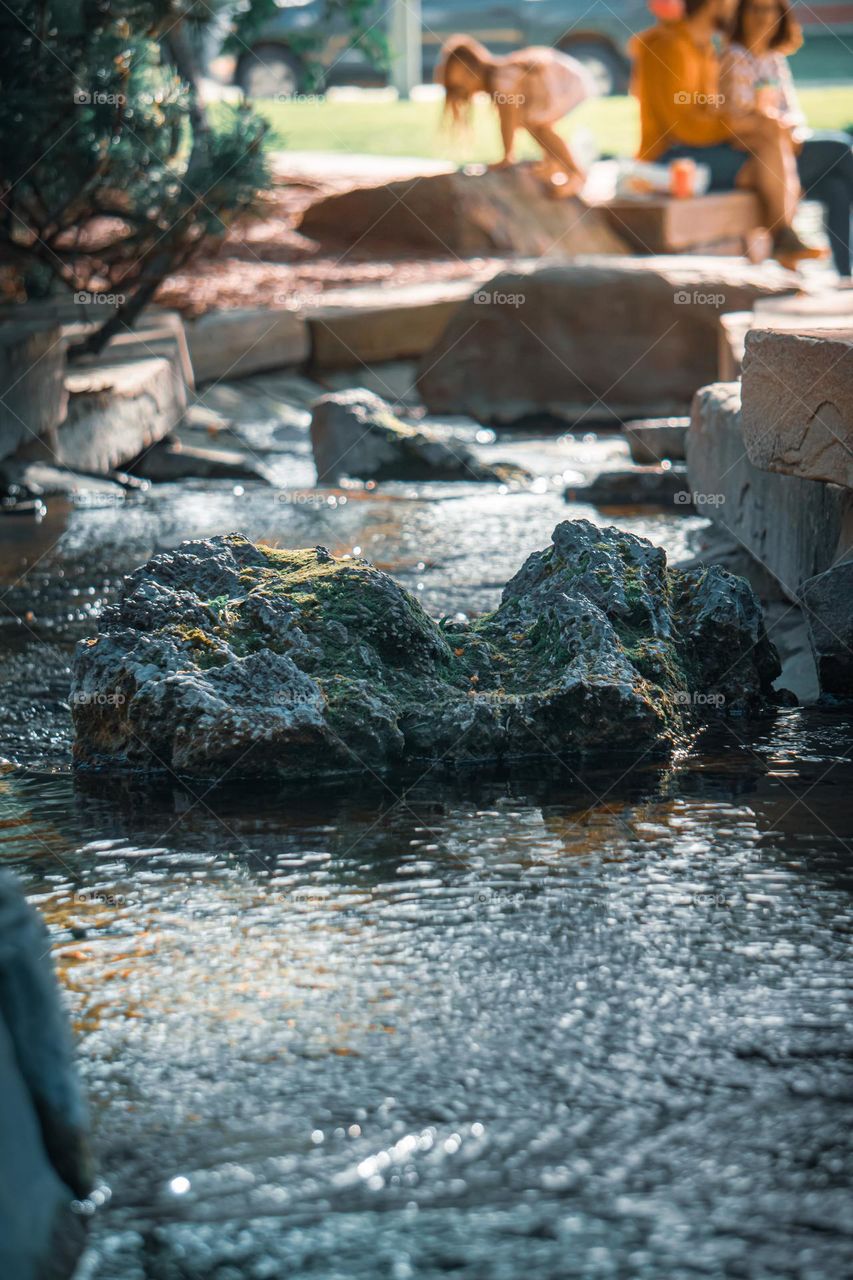 Perfect small river on MSU campus