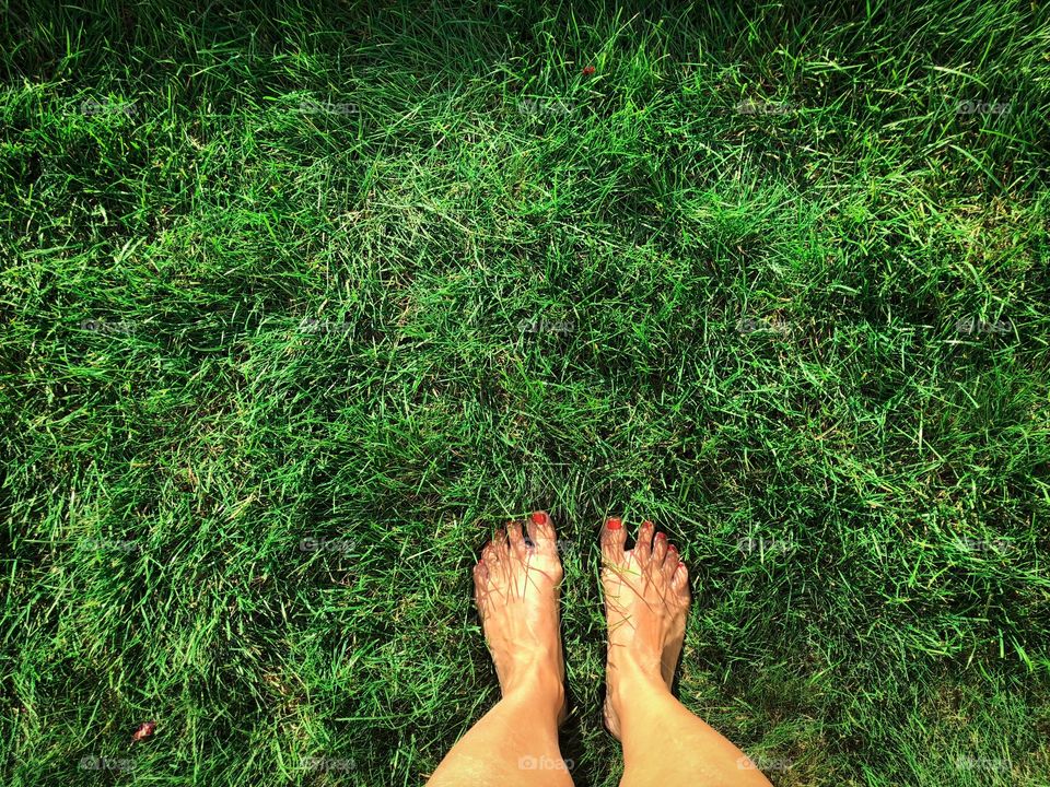 Standing on green grass