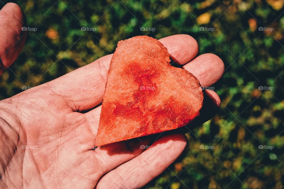 Woman Holding A Watermelon Heart, Fresh Fruit, Fun Fruit Photo, Fun With Food, Hand Holding Watermelon 