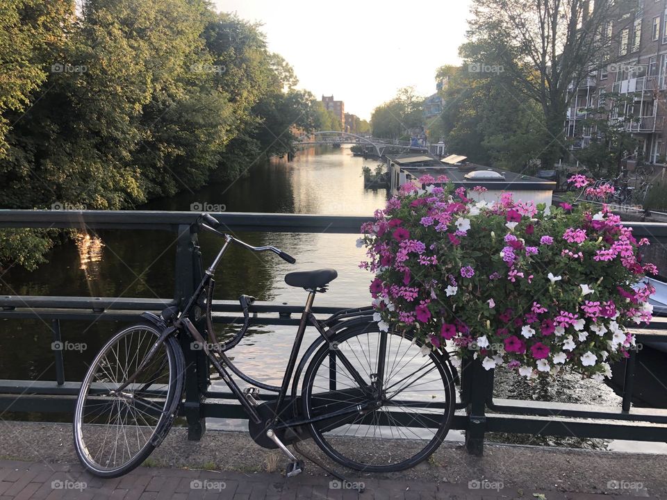 Bike pelos canais de Amsterdā. Holanda. 🇳🇱