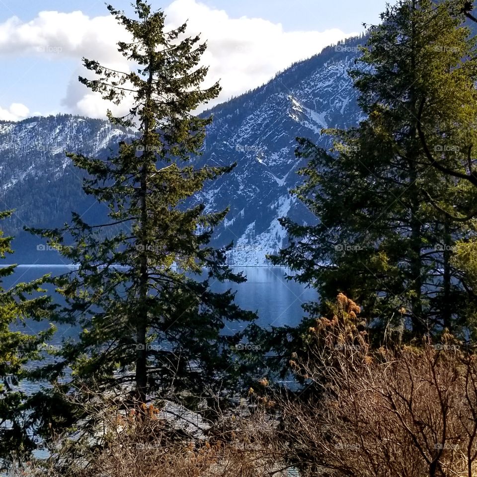 view of lake and snow covered mountain thru trees on a spring hike