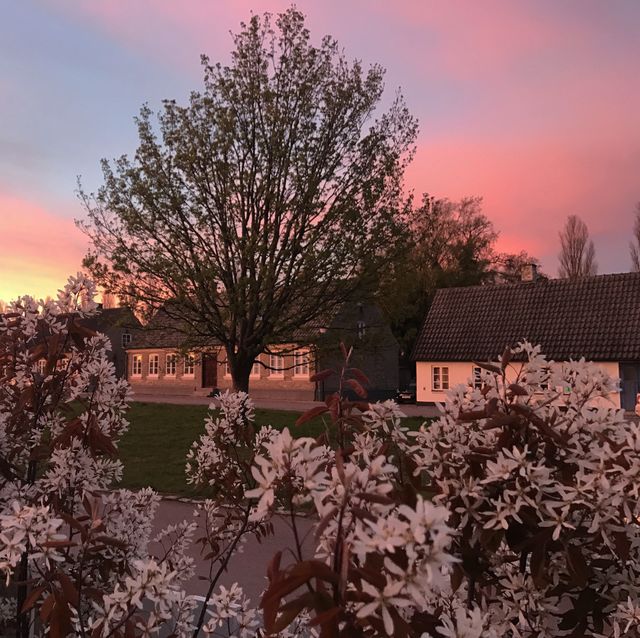 Home 