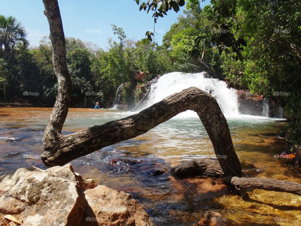 Cachoeira São Bernardo. São Bernardo Waterfall - Parque Estadual de Terra Ronca - GO - Brasil