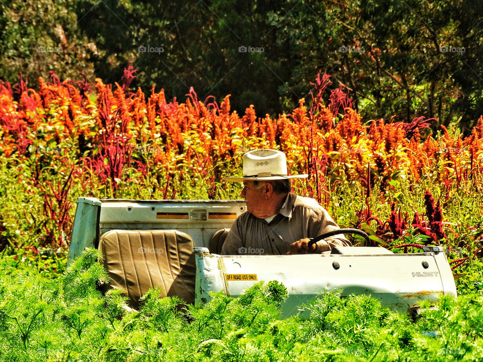 Farmer in a field of wildflowers